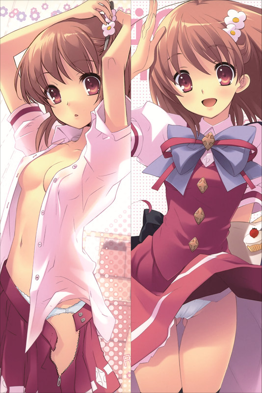 VC1066 Flyable Heart