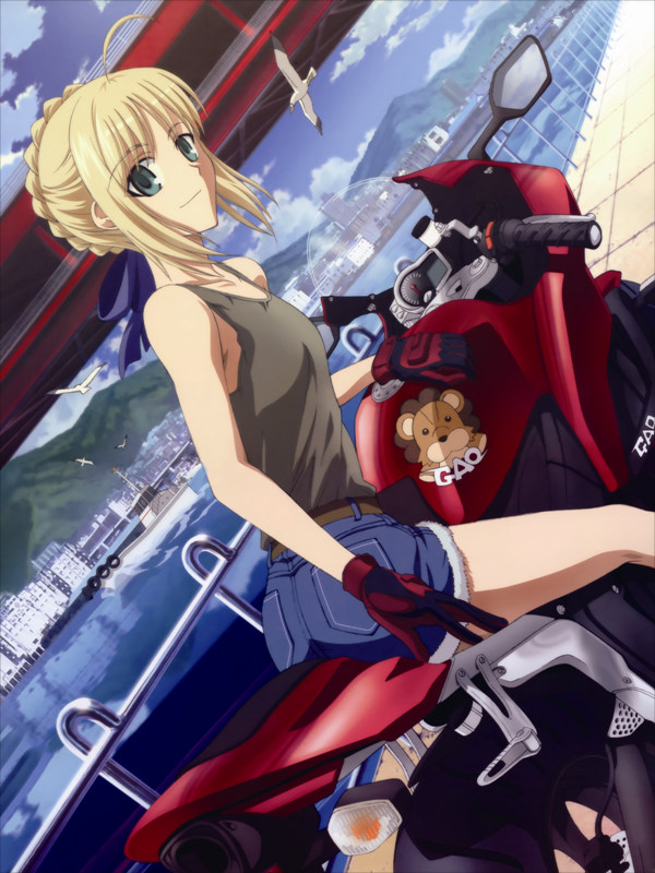 VF0280 Fate stay night