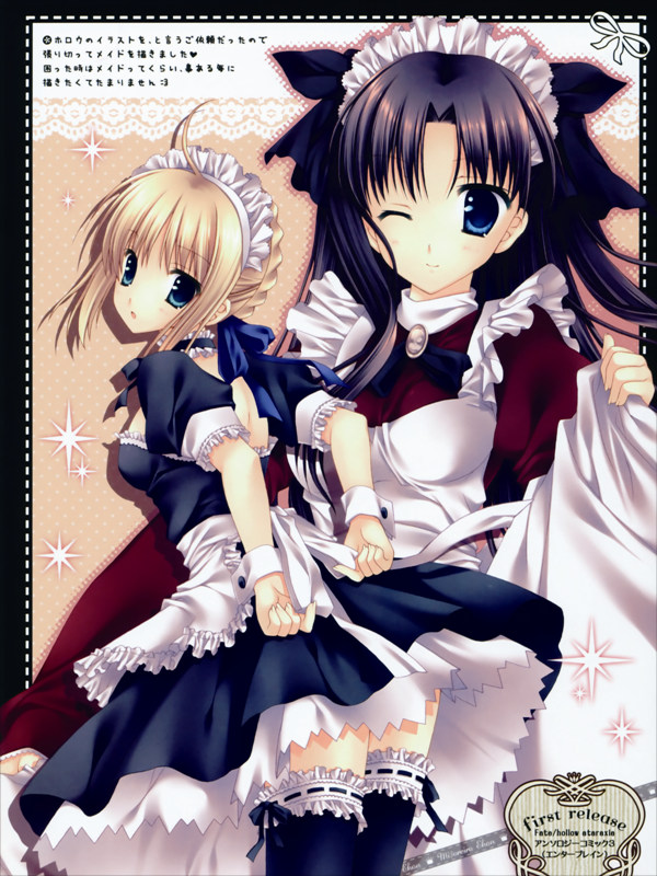 VF0282 Fate stay night