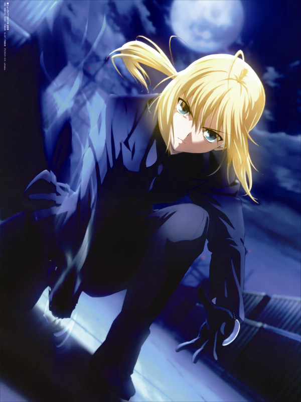 VF0313 Fate stay night