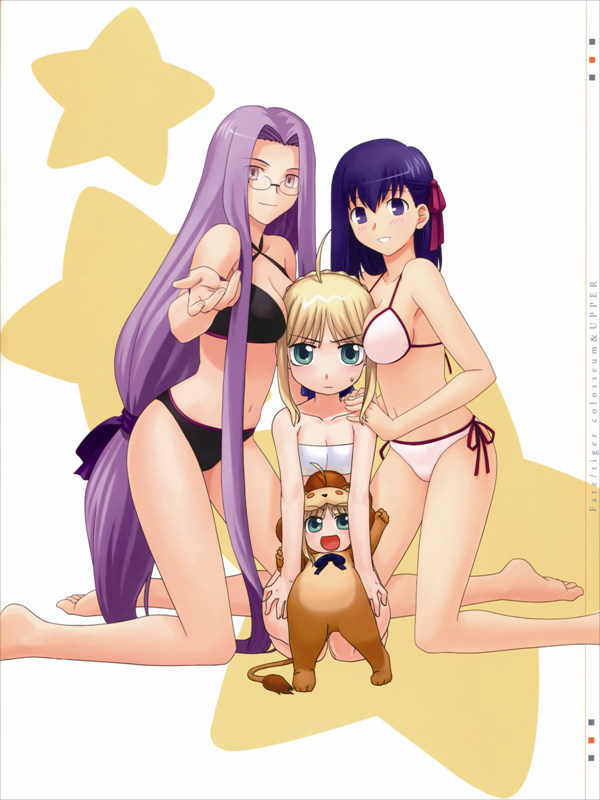 VF0316 Fate stay night