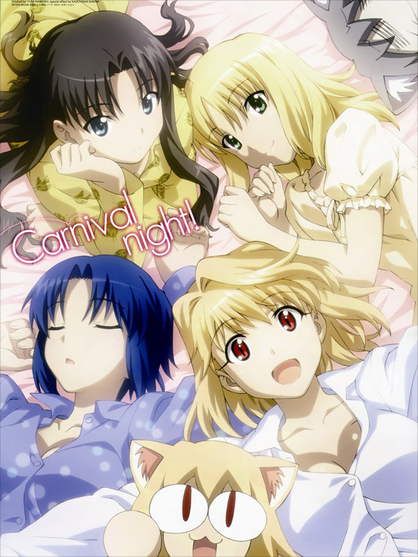 VF0330 Fate stay night