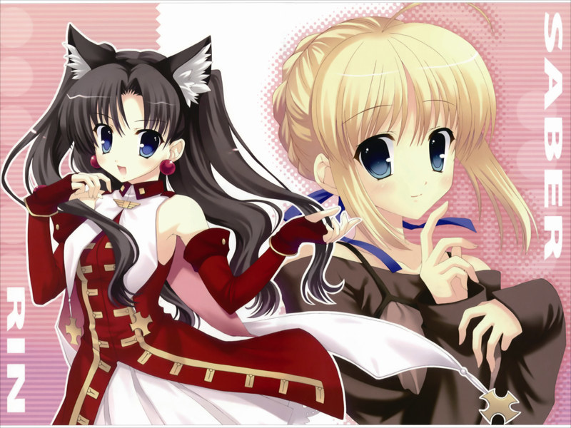 VF0336 Fate stay night