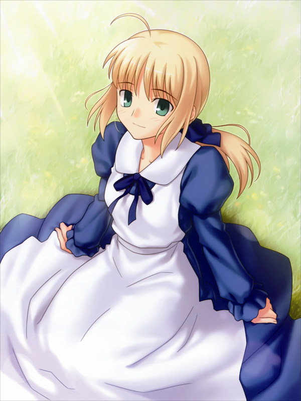 VF0342 Fate stay night