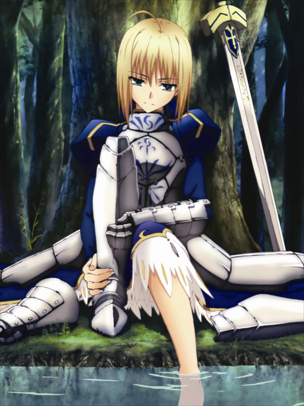 VF0348 Fate stay night