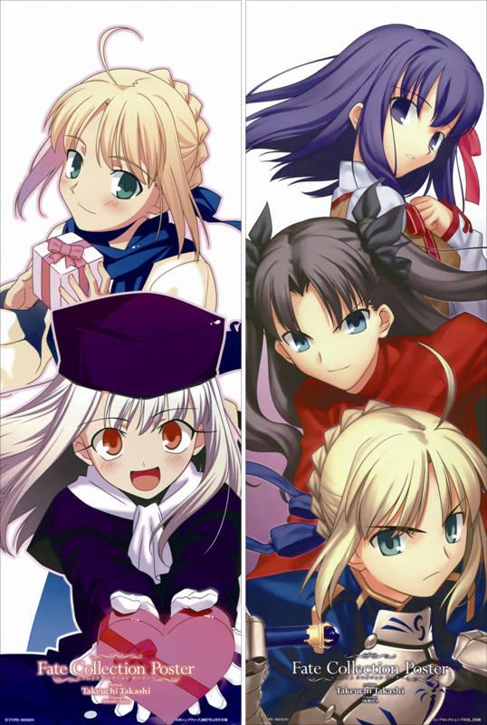 VZ0891 Fate stay night